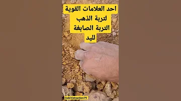 احد علامات تربة الذهب المعدنية Gold اليمن السعودية Shorts 