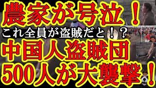 【『500名の畑泥棒ババア！？』中国でガチの地獄絵図！なんと農家の目の前で500名の盗賊団が農作物を強奪！】中国国民の不満が爆裂！全ては中国政府の悪政が原因！しかも軍隊を企業に送り込んで監視まで始めた