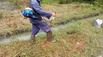 cắt cỏ chi tiết, mẹo cắt cỏ, khắc phục máy hư -Cut grass tips - lawn mower | MINH KIỆT TV