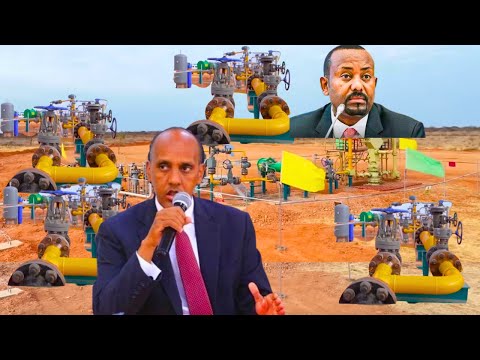 Daawo Xog Cusub Shidaalka DDS Iyo Warbixin Aragtida Dadka Iyo Xogo Kale Daawo Xog Cusub Shidaalka DDS Iyo Warbixin Aragtida Dadka Iyo Xogo Kale