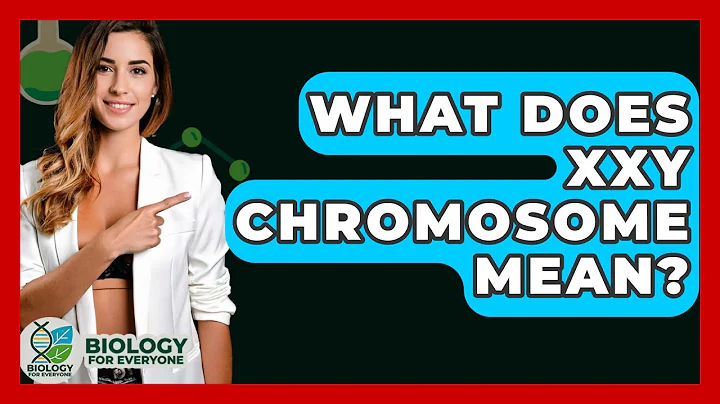 What Does XXY Chromosome Mean? - Biology For Everyone