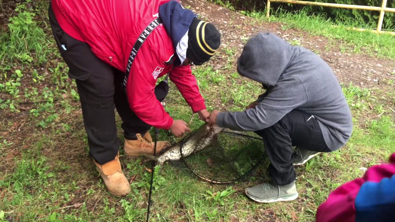 FISHING WITH LIVE BAIT, Muskie expert, Trenton, Vanbearslots YouTube