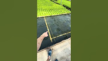 Circulating nutrients and oxygen. #hydroponics #hydroponicfarming #hydroponiclettuce