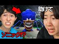 海外で話題の「恐怖ソニック」を見てみたら...【シンソニック】