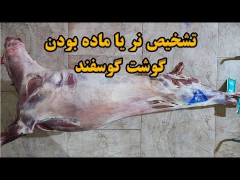 تصویری: واکسن گوساله چیست؟