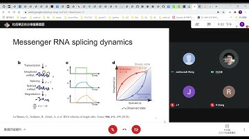 RNA velocity