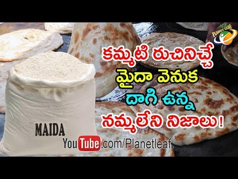 Shocking And Mind Blowing Facts About Maida Flour || మైదాతో చేసిన