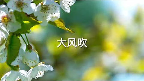 Songtao Liu