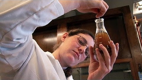 UC Berkeley News: Green Chemistry in the Lab and Beyond