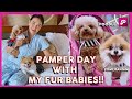 [ENG SUB ] MEET MY FUR BABIES 🐶 +  PAMPER DAY 💅🏻 | POPS FERNANDEZ VLOG