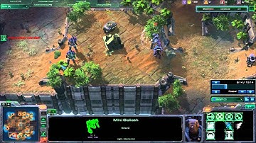 Starcraft 2 Custom Games, Catch 