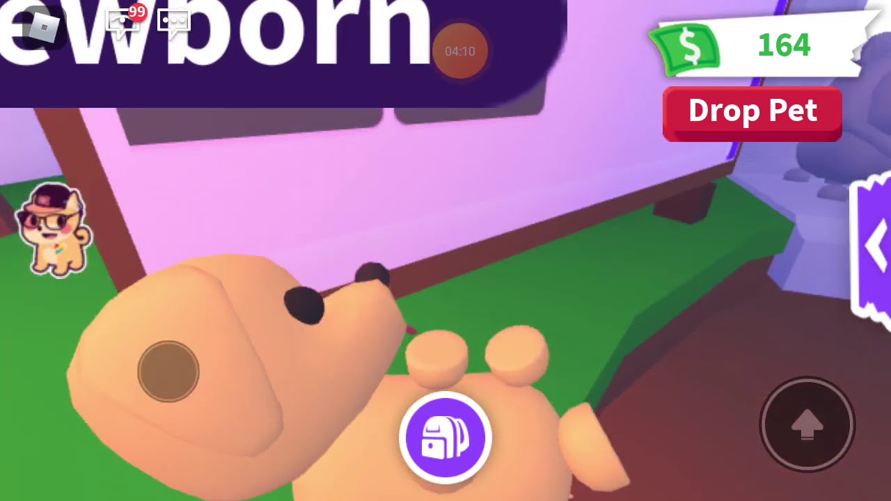 коды на петов в адопт ми. софт в адопт ми. читы на адопт ми. гроб в адопт ми. роблокс адопт ми.