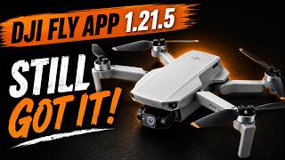 DJI Fly App Update 1.21.5 Tested the Mini 2 (Still Going Strong)