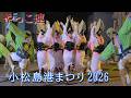 【阿波踊り2026】小松島港まつり2026でやっこ連が阿波踊りを披露