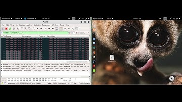 Slow Loris ddos attack Apache web server