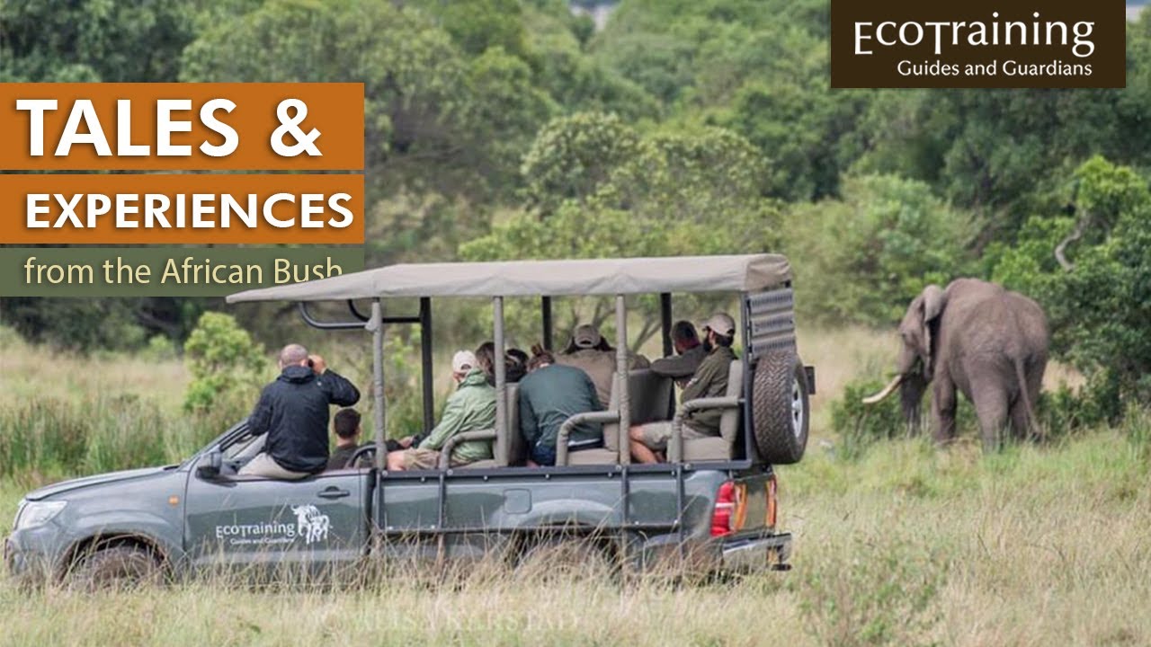 Highlights from Kenya l Professional Field Guide Course