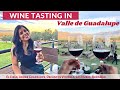 Valle de Guadalupe, Ruta Del Vino // 2-day itinerary// Travel Vlog