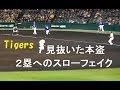 阪神 梅野 隆太郎『見抜いた本盗 2塁への見事なスローフェイク! 』 vs 中日 2019年4月12日甲子園球場