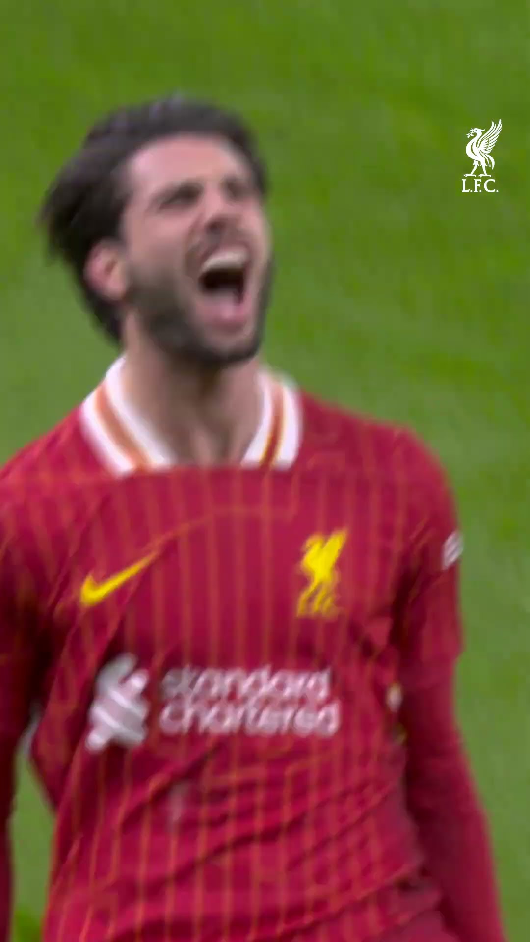 Story of the game. ALL six goals from Spurs.
