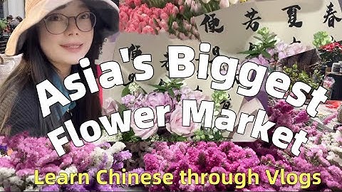 【pinyin&Eng Sub】Chinese Learning 🇨🇳｜Comprehensible Input ｜Chinese culture