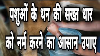 थनों की धार नर्म करने का उपाए screenshot 4