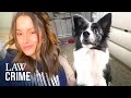 Las Vegas Woman Accused Of Doing Awful Things To Her Dog Las Vegas Woman Accused Of Doing Awful Things To Her Dog