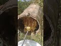 Satisfying machines process👨‍🏭 #amazing #satisfying  #production #asmr #viral