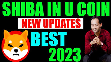 Shiba Inu Coin with Shibarium Blockchain layer 2 scaling ready for the Big 2023 Rally? | Crypto News
