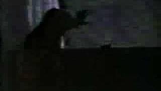 Skinny Puppy- Harsh Stone White- Live in Dallas 1992 (4/16)