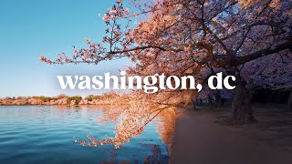 Sunrise Cherry Blossom 2024 🌸 Washington, DC Walking Tour