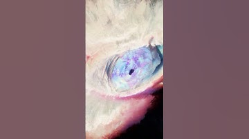 The Merge: Transition Loop #012/152