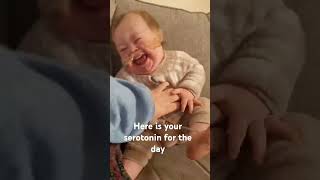 Happy chonkers #baby #funny #cute #funnyshorts