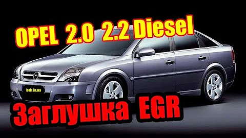 EGR Opel 2 0  2 2  DTI TiD | EGR Заглушка клапана