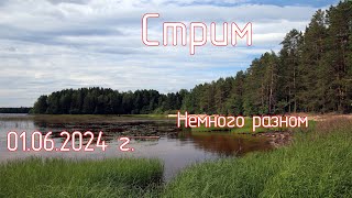 Немного о разном. Актуальность Canon 200D. Экраны R8 и RP. Стрим 01.06.2024 Г.