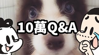 狗與鹿 10萬訂閱 Q&A  |  Emma的狗生、狗與鹿的創作、還有一些從來沒說過的秘密...