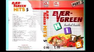 Evergreen Hits 5 (HQ)