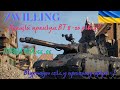 Фарм срібла + Фарм позначки на німецькой імбе E 65 Zwilling! Позначка: 56,06%