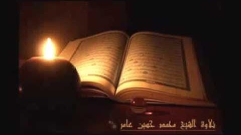 سورة المسد - الشيخ محمد حسين عامر