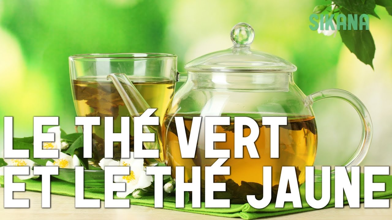 Thé Vert / Thé Jaune Préparation Préparer le Thé YouTube