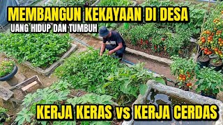Membangun Kekayaan Di Desa 5 Pilar Petani Menjadi Kaya