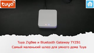 Наверное самый маленький Zigbee и Bluetooth шлюз для умного дома Tuya TYZB1