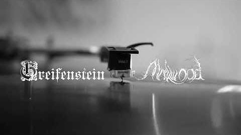 Greifenstein & Mirkwood - Stillstand (2017 Split LP Teaser)