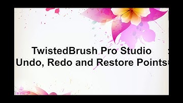 TwistedBrush Tutorials: Undo, Redo and Restore points