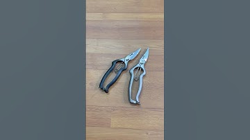 Kéo cắt tỉa Soke Hidehisa Japan #0376628645 @dungcubonsaihaidu #kéocắtcành #hàngnhậtbãi