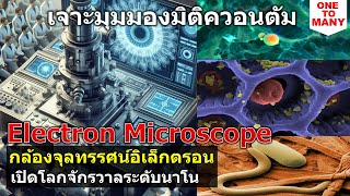 กล้องจุลทรรศน์อิเล็กตรอน (Electron microscope) แบบต่างๆ: TEM SEM