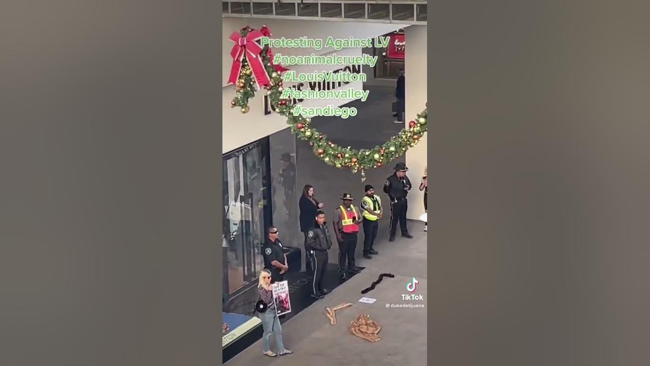 Protesters at Fashion Valley in San Diego Call on Louis Vuitton to Stop  Using Animal Fur in Clothes. 