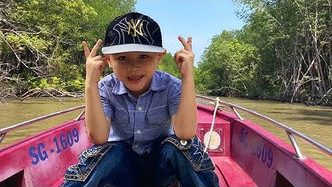 Lần đầu Đi Cano Rừng Sác Cần Giờ - Tấn Hoàng TV