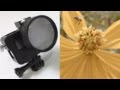 How to use macro filter w/Gopro HERO5/6/7, minimum focus test & sample footage