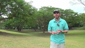 Smart water savings - using modern tools to reduce water waste in your irrigation system