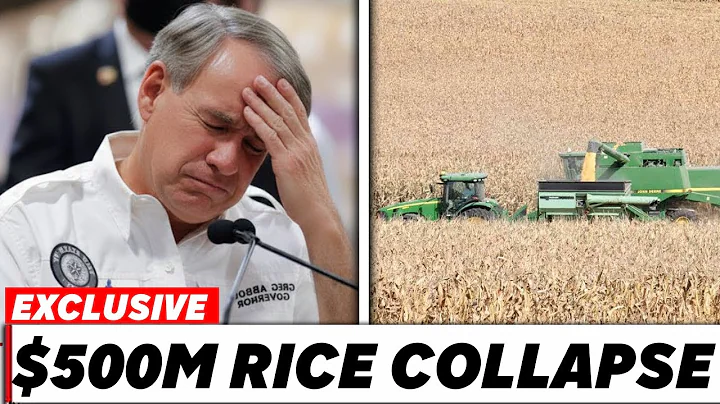 Governor Of Texas SHOCKED Over The Rice Farming Crisis - He FAILED The Farmers